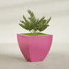 Lima Large Tapered Square Fiberglass Planter - 30 in x 30 in x 30 in - Gloss Pink Violet - Gloss Pink Violet,30 in x 30 in x 30 in