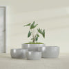 Casablanca Large Round Low Bowl Fiberglass Planter - 36 in x 36 in x 18 in - Metallic Silver - Metallic Silver,36 in x 36 in x 18 in