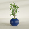 Globe Medium Sphere Fiberglass Planter - 24 in x 24 in x 19 in - Matte Cobalt Blue - Matte Cobalt Blue,24 in x 24 in x 20 in