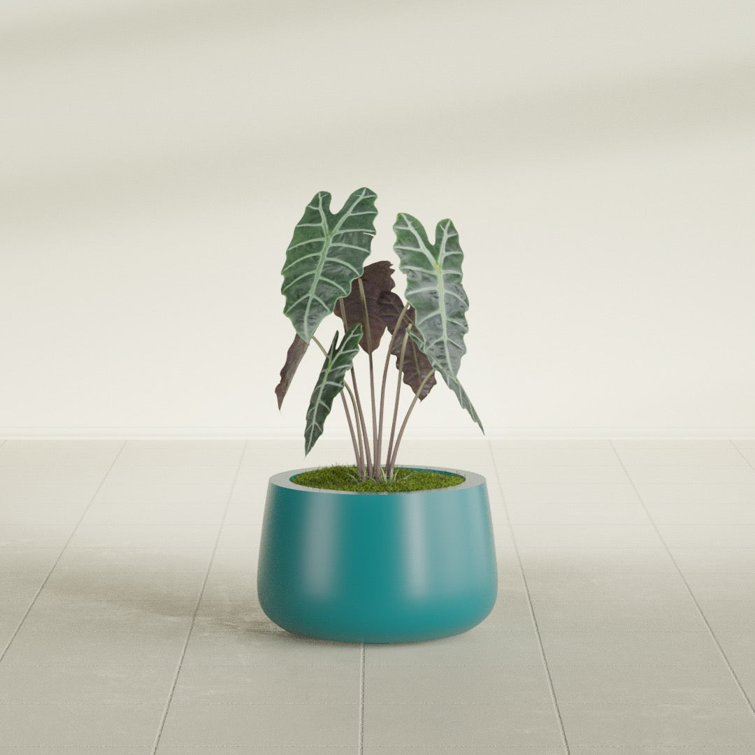 Short Hayden Small Round Fiberglass Planter - 12 in x 12 in x 7 in - Satin Sea Foam - Satin Sea Foam,12 in x 12 in x 7 in