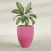 Alicante Medium Round Fiberglass Planter - 26 in x 26 in x 32 in - Gloss Pink Violet - Gloss Pink Violet,26 in x 26 in x 32 in