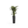 Amsterdam High Medium Tall Round Planter - 16 in x 16.25 in x 30 in - Dark Grey - Dark Grey,16 in x 16.25 in x 30 in,Planter Only