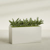 Brisbane Extra Large Long Rectangle Fiberglass Planter - 60 in x 24 in x 32 in - Satin Beige - Satin Beige,60 in x 24 in x 32 in
