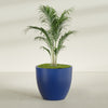 Wannsee Large Round Fiberglass Planter - 44 in x 44 in x 39 in - Matte Cobalt Blue - Matte Cobalt Blue,44 in x 44 in x 39 in