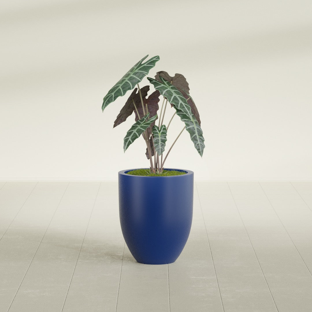 Valencia Small Round Fiberglass Planter - 15 in x 15 in x 18 in - Matte Cobalt Blue - Matte Cobalt Blue,15 in x 15 in x 18 in