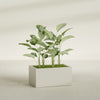 Torino Large Wide Rectangle Fiberglass Planter - 36 in x 24 in x 18 in - Satin Beige - Satin Beige,36 in x 24 in x 18 in