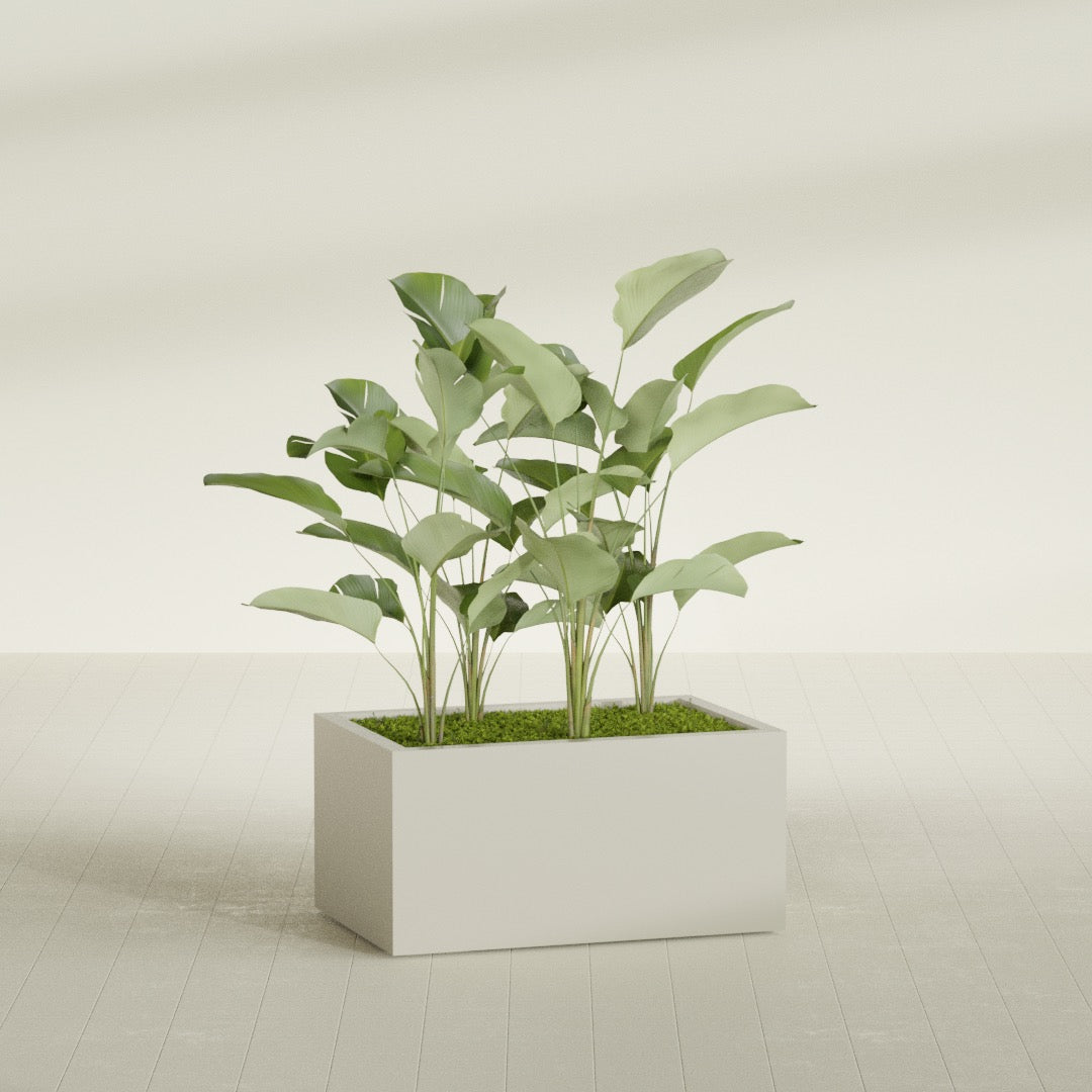 Torino Large Wide Rectangle Fiberglass Planter - 36 in x 24 in x 18 in - Satin Beige - Satin Beige,36 in x 24 in x 18 in