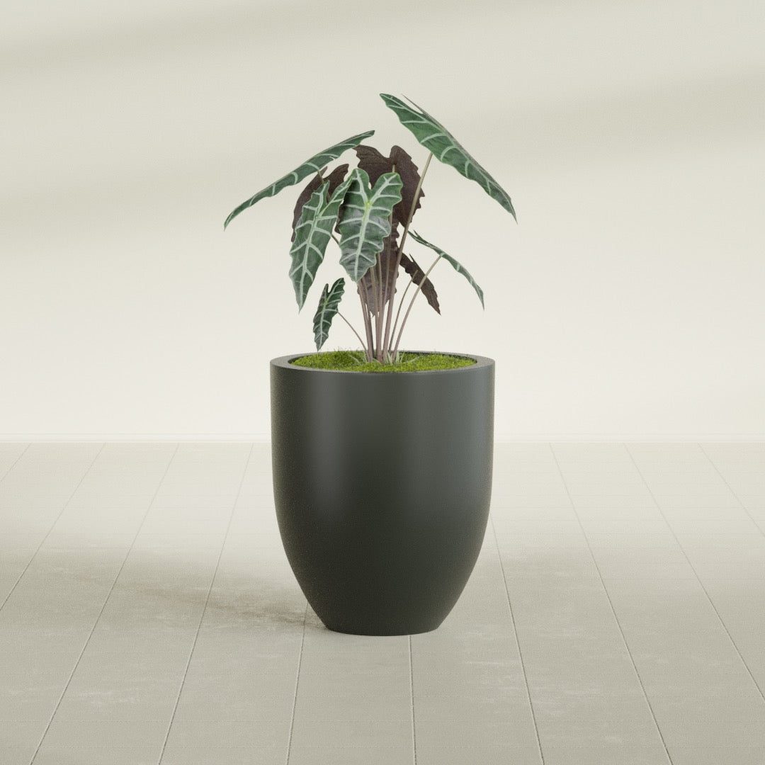 Valencia Medium Round Fiberglass Planter - 20 in x 20 in x 23 in - Matte Charcoal - Matte Charcoal,20 in x 20 in x 23 in