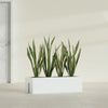 Tiergarden Large Long Over The Railing Rectangle Fiberglass Planter - 36 in x 12 in x 10 in - Gloss White - Gloss White,36 in x 12 in x 10 in