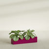 Salon Large Tall Rectangle Fiberglass Planter - 36 in x 8 in x 8 in - Gloss Eggplant - Gloss Eggplant,36 in x 8 in x 8 in