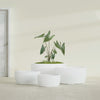 Casablanca Large Round Low Bowl Fiberglass Planter - 36 in x 36 in x 18 in - Matte White - Matte White,36 in x 36 in x 18 in