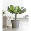 Amsterdam Medium Round Planter with Wheels - 23.5 in x 23.5 in x 22 in - Grey - Grey,23.5 in x 23.5 in x 22 in