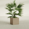 Montroy Medium Cube Square Fiberglass Planter - 24 in x 24 in x 24 in - Metallic Gold - Metallic Gold,24 in x 24 in x 24 in