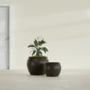 Fishbowl Small Round Fiberglass Planter - 16 in x 16 in x 14 in - Matte Brown - Matte Brown,16 in x 16 in x 14 in