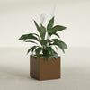 Montroy Medium Cube Square Fiberglass Planter - 20 in x 20 in x 20 in - Metallic Bronze - Metallic Bronze,20 in x 20 in x 20 in