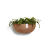 Sofia Wall Small Conical Wall Planter - 16.5 in x 10 in x 7 in - Terracotta - Terracotta,16.5 in x 16.5 in x 7 in