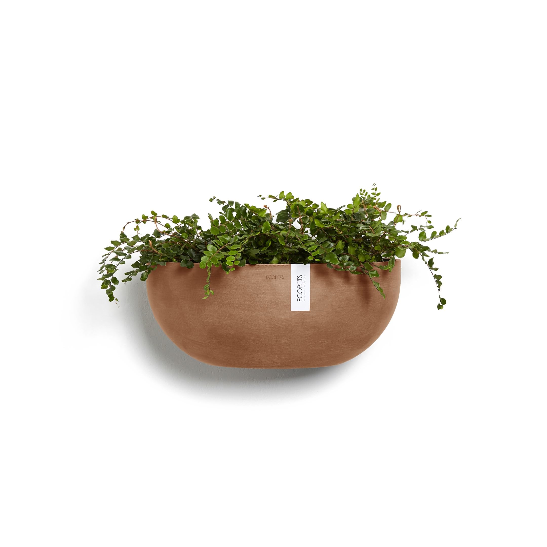 Sofia Wall Small Conical Wall Planter - 16.5 in x 10 in x 7 in - Terracotta - Terracotta,16.5 in x 16.5 in x 7 in