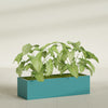 Reade Small Tabletop Rectangle Fiberglass Planter - 18 in x 6.5 in x 5 in - Satin Sea Foam - Satin Sea Foam,18.5 in x 6.5 in x 5 in