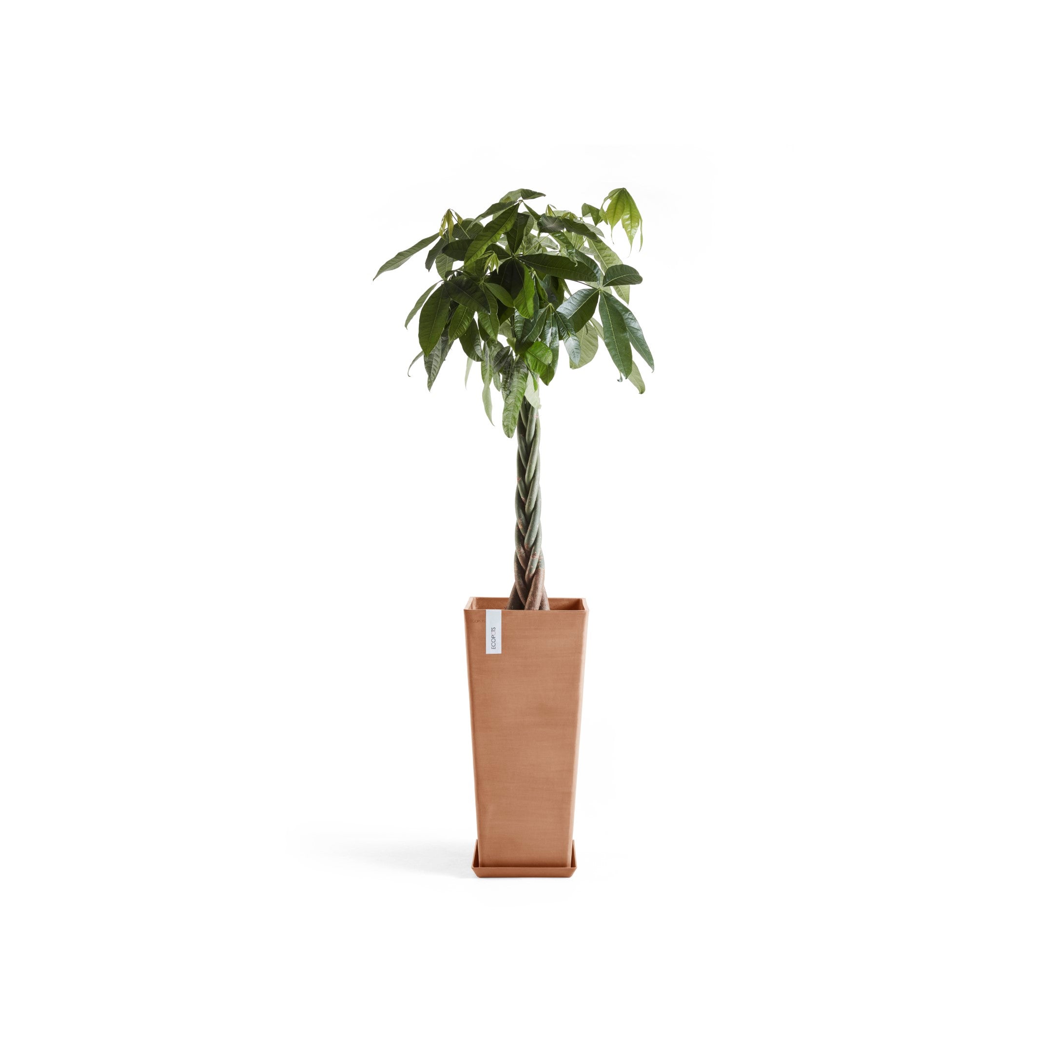 Rotterdam High Medium Square Planter - 12.6 in x 12.6 in x 27.5 in - Planter + Saucer - Terracotta - Terracotta,12.5 in x 12.5 in x 27.5 in,Planter + Saucer