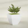 Lima Large Tapered Square Fiberglass Planter - 30 in x 30 in x 30 in - Gloss White - Gloss White,30 in x 30 in x 30 in