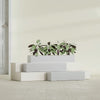 Salon Large Tall Rectangle Fiberglass Planter - 36 in x 8 in x 8 in - Metallic Silver - Metallic Silver,36 in x 8 in x 8 in