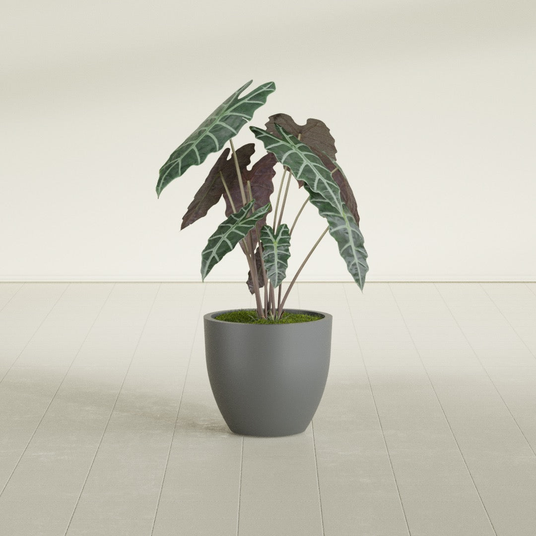 Wannsee Medium Round Fiberglass Planter - 22 in x 22 in x 19 in - Metallic Gunmetal - Metallic Gunmetal,22 in x 22 in x 19 in