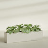 Miami Extra Large Narrow Rectangle Fiberglass Planter - 72 in x 12 in x 18 in - Satin Beige - Satin Beige,72 in x 12 in x 18 in