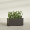 Granada Extra Large Long Rectangle Fiberglass Planter - 48 in x 24 in x 24 in - Matte Brown - Matte Brown,48 in x 24 in x 24 in