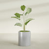 Rio Grande Medium Round Fiberglass Planter - 18 in x 18 in x 20 in - Metallic Silver - Metallic Silver,18 in x 18 in x 20 in