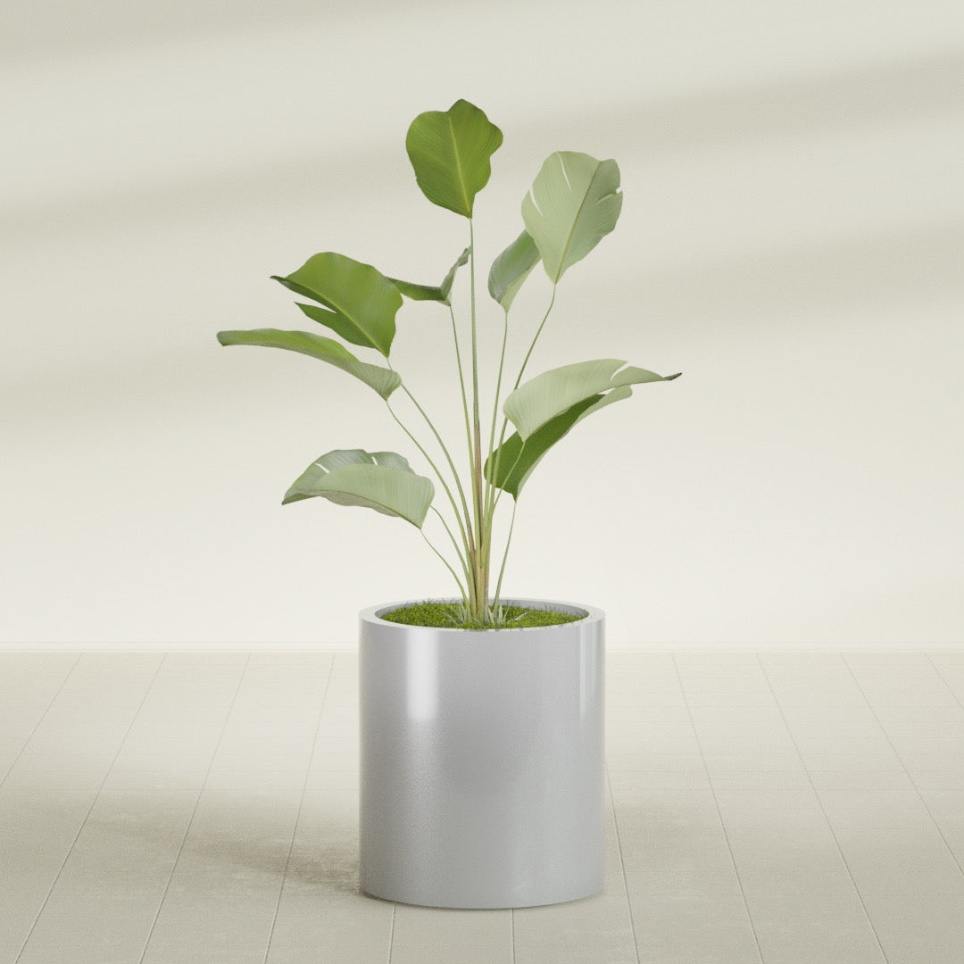 Rio Grande Medium Round Fiberglass Planter - 18 in x 18 in x 20 in - Metallic Silver - Metallic Silver,18 in x 18 in x 20 in