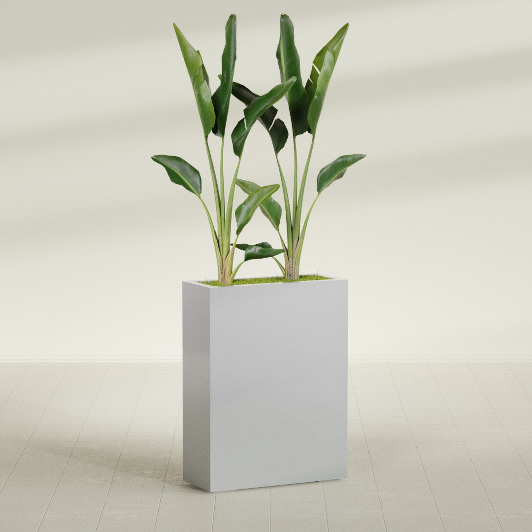 Amesbury Large Narrow Rectangle Fiberglass Planter - 24 in x 10 in x 32 in - Metallic Silver - Metallic Silver,24 in x 10 in x 32 in