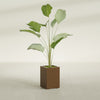 Tolga Medium Rectangle Fiberglass Planter - 16 in x 16 in x 24 in - Metallic Bronze - Metallic Bronze,16 in x 16 in x 24 in