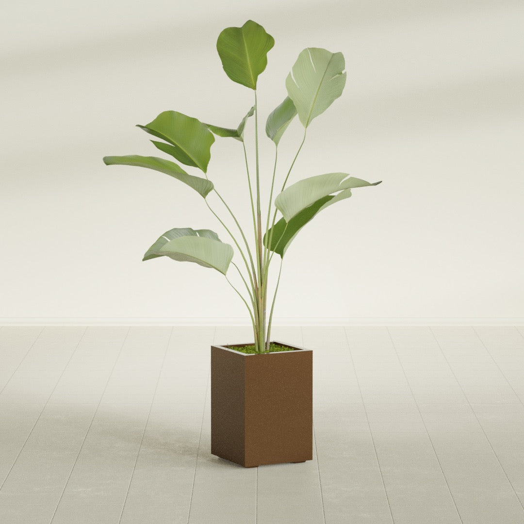 Tolga Medium Rectangle Fiberglass Planter - 16 in x 16 in x 24 in - Metallic Bronze - Metallic Bronze,16 in x 16 in x 24 in