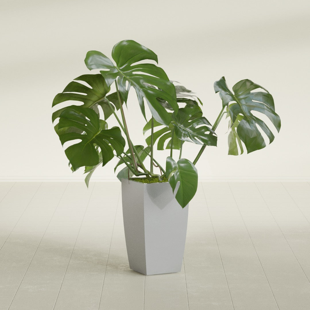 Toulan Medium Tall Tapered Square Fiberglass Planter - 12 in x 12 in x 22 in - Metallic Silver - Metallic Silver,12 in x 12 in x 22 in