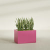 Granada Large Rectangle Fiberglass Planter - 36 in x 24 in x 24 in - Gloss Pink Violet - Gloss Pink Violet,36 in x 24 in x 24 in
