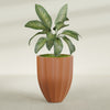 Alicante Medium Round Fiberglass Planter - 26 in x 26 in x 32 in - Matte Terracotta - Matte Terracotta,26 in x 26 in x 32 in