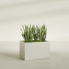 Granada Large Rectangle Fiberglass Planter - 36 in x 24 in x 24 in - Satin Beige - Satin Beige,36 in x 24 in x 24 in