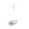 Hanging Brussels Small Bowl Planter - 10.5 in x 10.5 in x 5 in - Pure White - Pure White,10.5 in x 10.5 in x 5 in