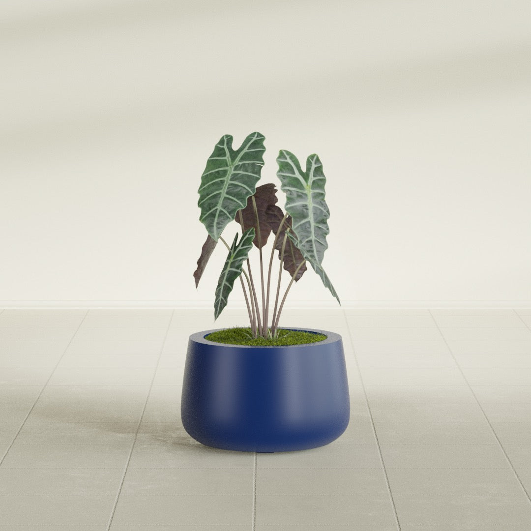 Short Hayden Small Round Fiberglass Planter - 12 in x 12 in x 7 in - Matte Cobalt Blue - Matte Cobalt Blue,12 in x 12 in x 7 in