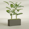 Tolga Extra Large Long Rectangle Fiberglass Planter - 48 in x 16 in x 24 in - Matte Bronze - Matte Bronze,48 in x 16 in x 24 in