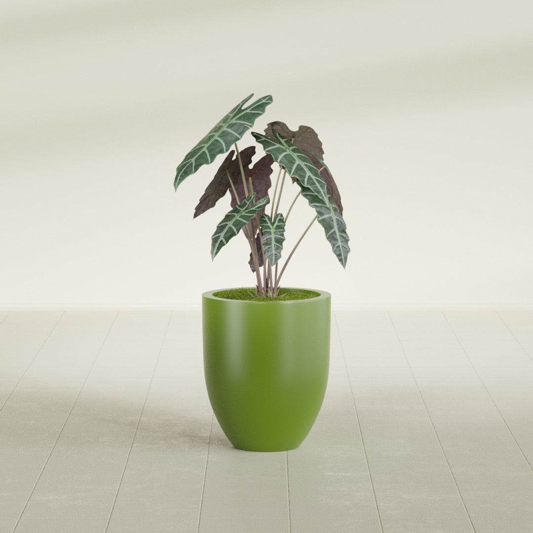Valencia Small Round Fiberglass Planter - 15 in x 15 in x 18 in - Satin Green - Satin Green,15 in x 15 in x 18 in
