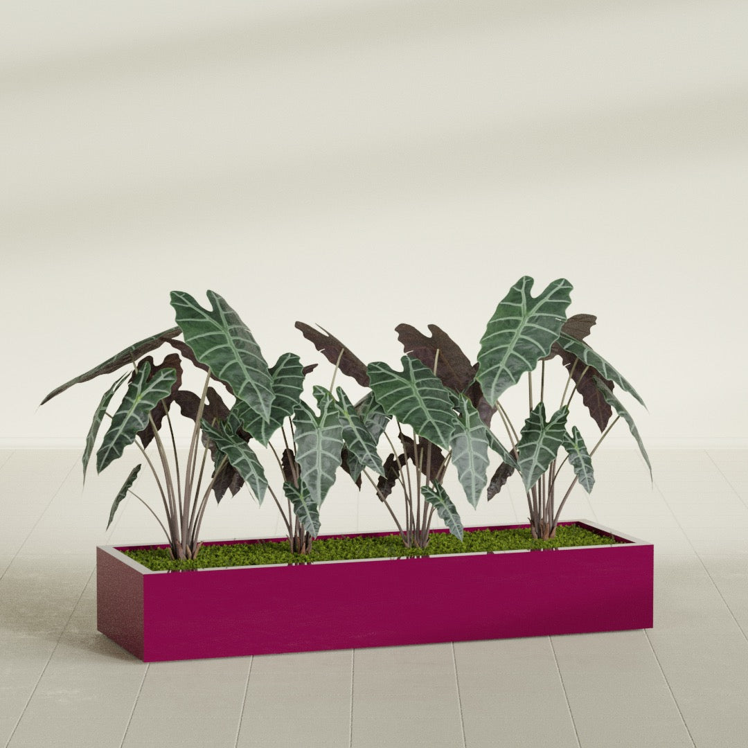 Antwerp Extra Large Long Rectangle Fiberglass Planter - 72 in x 24 in x 12 in - Gloss Eggplant - Gloss Eggplant,72 in x 24 in x 12 in