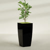 Toulan Extra Large Tall Tapered Square Fiberglass Planter - 23 in x 23 in x 48 in - Gloss Black - Gloss Black,23 in x 23 in x 48 in