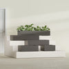 Antwerp Medium Low Rectangle Fiberglass Planter - 24 in x 24 in x 12 in - Matte Brown - Matte Brown,24 in x 24 in x 12 in