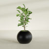 Globe Medium Sphere Fiberglass Planter - 24 in x 24 in x 19 in - Matte Black - Matte Black,24 in x 24 in x 20 in