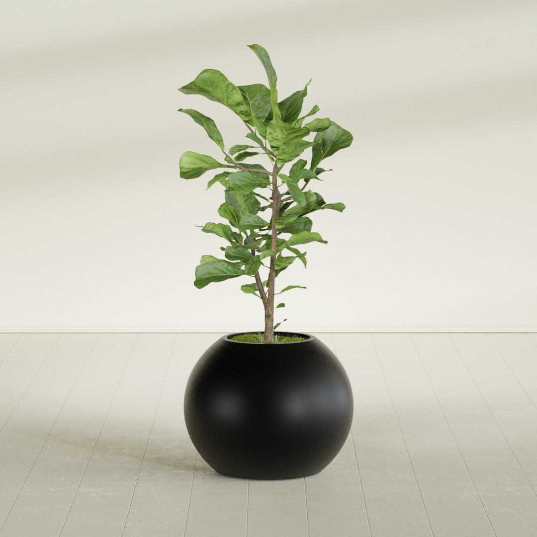 Globe Medium Sphere Fiberglass Planter - 24 in x 24 in x 19 in - Matte Black - Matte Black,24 in x 24 in x 20 in
