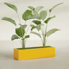 Cuba Large Long Rectangle Fiberglass Planter - 48 in x 14 in x 12 in - Gloss Saffron - Gloss Saffron,48 in x 14 in x 12 in