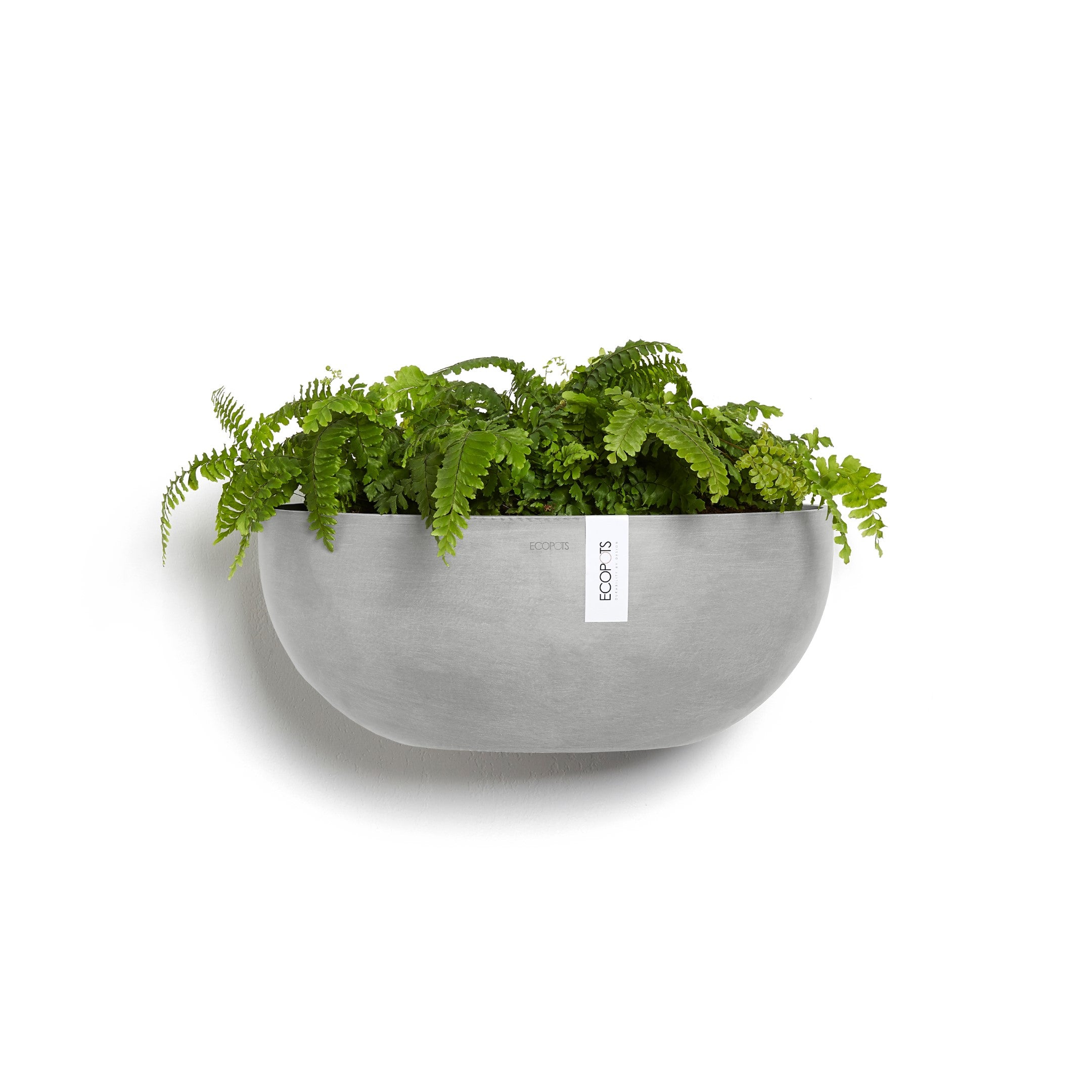 Sofia Wall Small Conical Wall Planter - 16.5 in x 10 in x 7 in - White Grey - White Grey,16.5 in x 16.5 in x 7 in