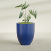 Valencia Large Round Fiberglass Planter - 27 in x 27 in x 31 in - Matte Cobalt Blue - Matte Cobalt Blue,27 in x 27 in x 31 in
