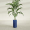 Corry Medium Tall Cylinder Fiberglass Planter - 10 in x 10 in x 20 in - Matte Cobalt Blue - Matte Cobalt Blue,10 in x 10 in x 20 in